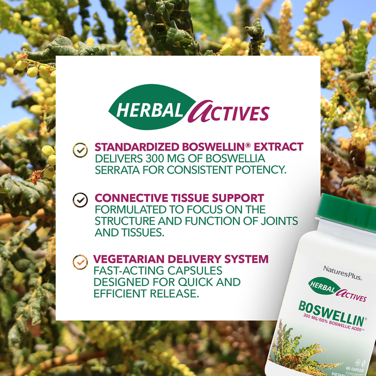 NaturesPlus, смола пильчатой камеди босвеллии, 300 мг, 60 капсул