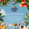 Garden of Life, Комплекс пищеварительных ферментов, 180 вегетарианских капсул