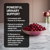 NatureWise, пробиотики для женщин, с отсроченным высвобождением, 60 капсул