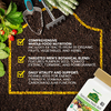 NaturesPlus, органические мультивитамины для мужчин, одна таблетка в день, без железа, 30 веганских таблеток