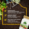NaturesPlus, мультивитамины для женщин, одна таблетка в день, 30 веганских таблеток