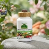 NaturesPlus, мультивитамины для женщин, одна таблетка в день, 30 веганских таблеток