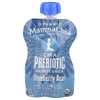 Mamma Chia, Organic Chia Prebiotic Squeeze Snack, черника и асаи, 4 порции, 99 г (3,5 унции)