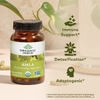 Organic India, Амла, 90 вегетарианских капсул (500 мг на капсулу)