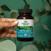 Organic India, Готу кола, 90 вегетарианских капсул (350 мг на капсулу)