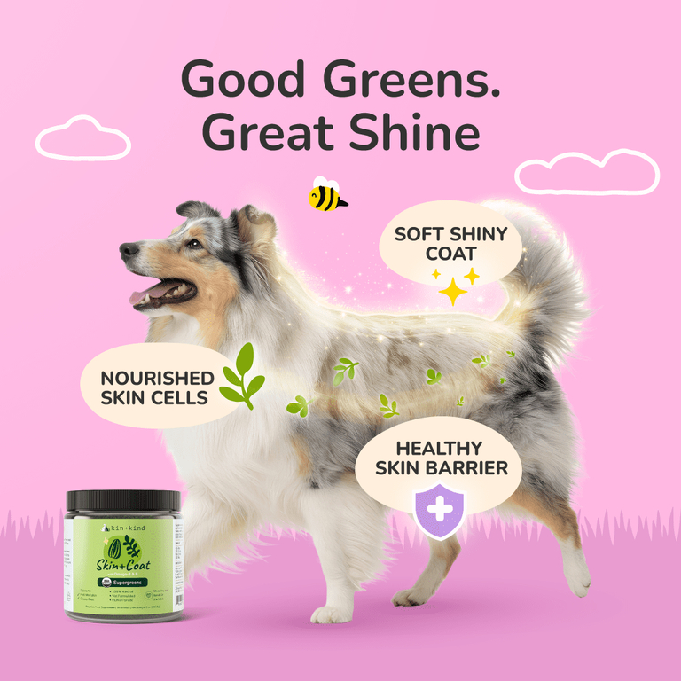 Kin+Kind, Skin + шерсти, суперзелень для собак и кошек, 113,4 г (4 унции)