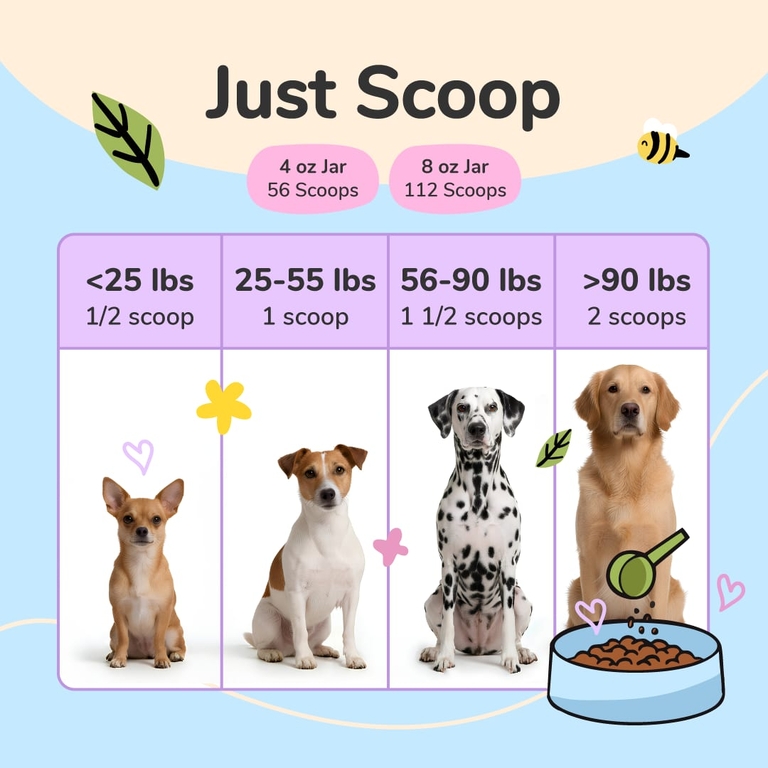 Kin+Kind, бедер и суставов с усовершенствованным комплексом с куркумином, для собак и кошек, куркума, 113,4 г (4 унции)