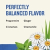 Celestial Seasonings, травяной чай для снятия напряжения, без кофеина, 20 чайных пакетиков, 43 г (1,5 унции)